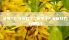 调节手机亮度软件（调节手机亮度软件有哪些）