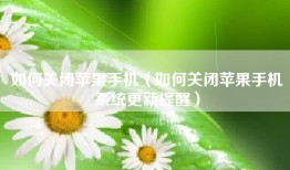 如何关闭苹果手机（如何关闭苹果手机系统更新提醒）