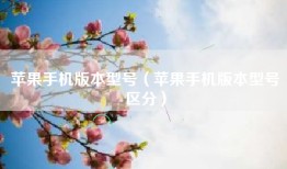 苹果手机版本型号（苹果手机版本型号区分）