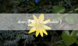 disney手机（disneymobile）