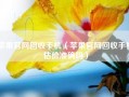 苹果官网回收手机（苹果官网回收手机估价准确吗）