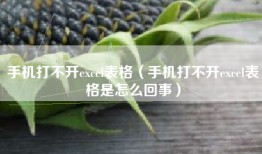 手机打不开excel表格（手机打不开excel表格是怎么回事）