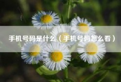 手机号码是什么（手机号码怎么看）