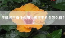 手机绑定有什么用（绑定手机会怎么样？）
