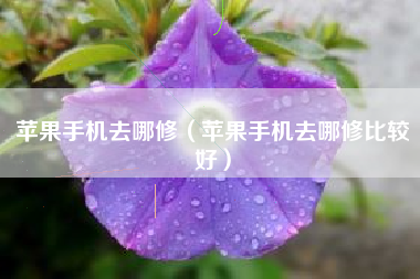 苹果手机去哪修（苹果手机去哪修比较好）