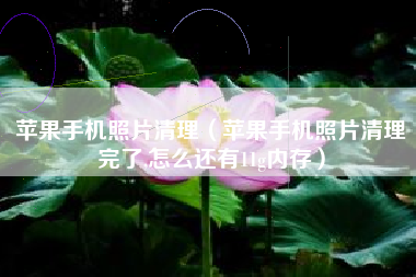 苹果手机照片清理（苹果手机照片清理完了,怎么还有11g内存）