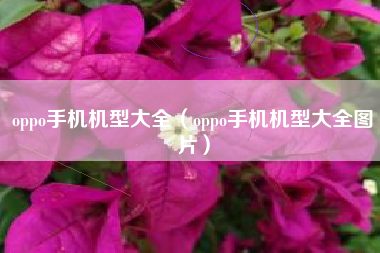 oppo手机机型大全（oppo手机机型大全图片）