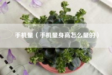 手机量（手机量身高怎么量的）